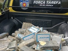 Imagem - Avião com quase 200 kg de cocaína cai em canavial no Nordeste