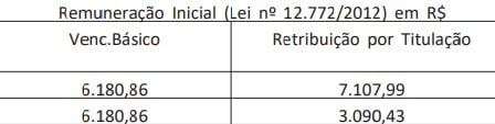 Confira detalhes do edital  por Captura de tela 