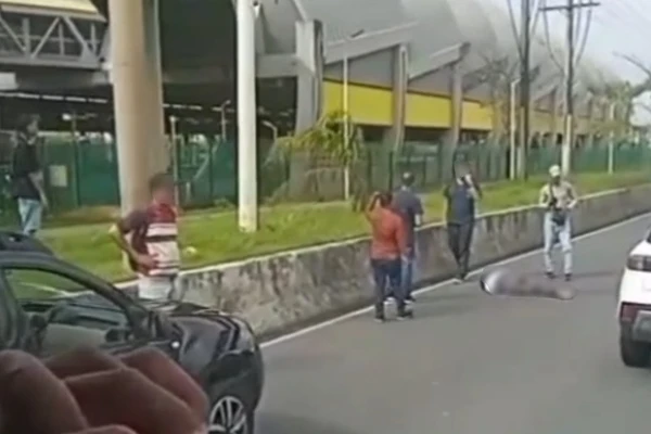 Vítima foi atropelada na Avenida Paralela