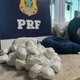 Imagem - Adolescente é detida com 4,5 kg de cocaína em travesseiro em ônibus na Bahia