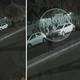 Imagem - Serial killer baiano: homem é preso suspeito de matar mulheres a pauladas em terreno baldio