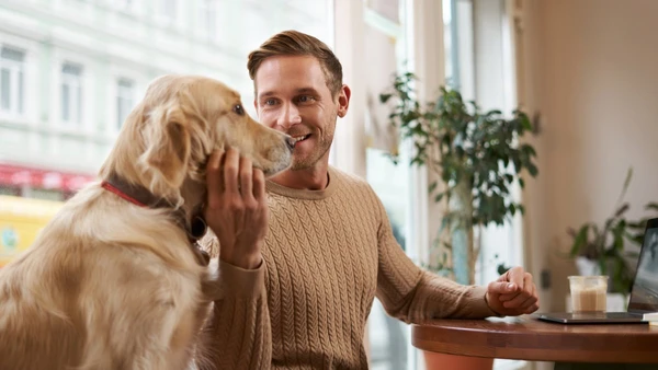 Falar com os pets reflete empatia, criatividade e fortalece vínculos afetivos