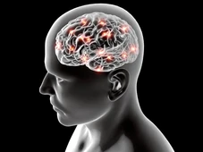 Imagem - Proteína afeta diretamente a função cerebral; entenda