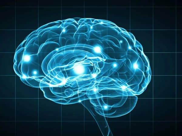 Atividade cerebral por Shutterstock