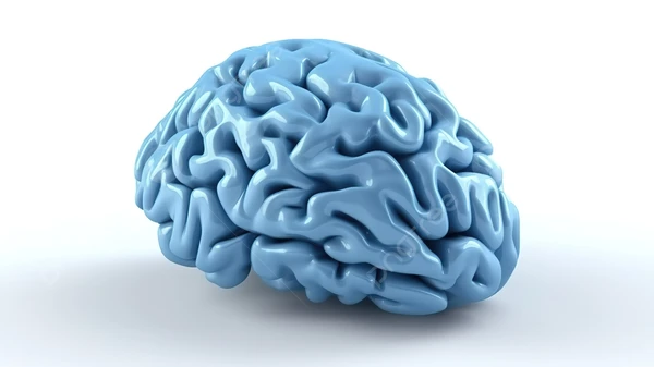 Atividade cerebral por Shutterstock