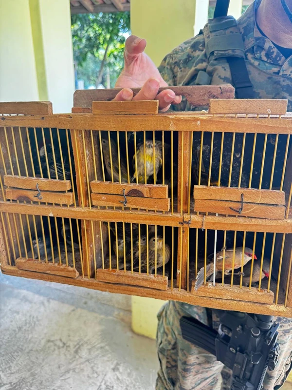 Coppa resgatou mais de 8 mil animais silvestres até setembro por Divulgação