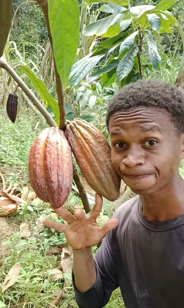 Diogo Ribeiro, ou Berê, ensina a fazer diversos alimentos e produtos com insumos do seu quintal por Reprodução / Instagram