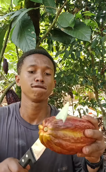 Diogo Ribeiro, ou Berê, ensina a fazer diversos alimentos e produtos com insumos do seu quintal por Reprodução / Instagram