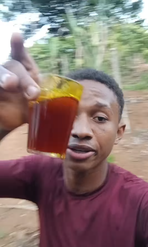 Diogo Ribeiro, ou Berê, ensina a fazer diversos alimentos e produtos com insumos do seu quintal por Reprodução / Instagram