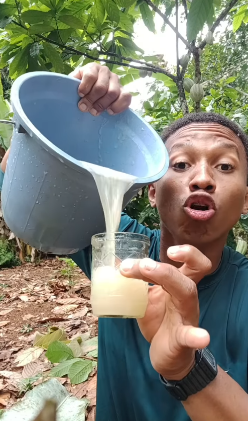 Diogo Ribeiro, ou Berê, ensina a fazer diversos alimentos e produtos com insumos do seu quintal por Reprodução / Instagram