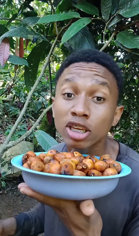 Diogo Ribeiro, ou Berê, ensina a fazer diversos alimentos e produtos com insumos do seu quintal por Reprodução / Instagram