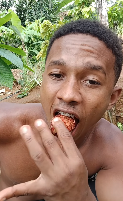 Diogo Ribeiro, ou Berê, ensina a fazer diversos alimentos e produtos com insumos do seu quintal por Reprodução / Instagram