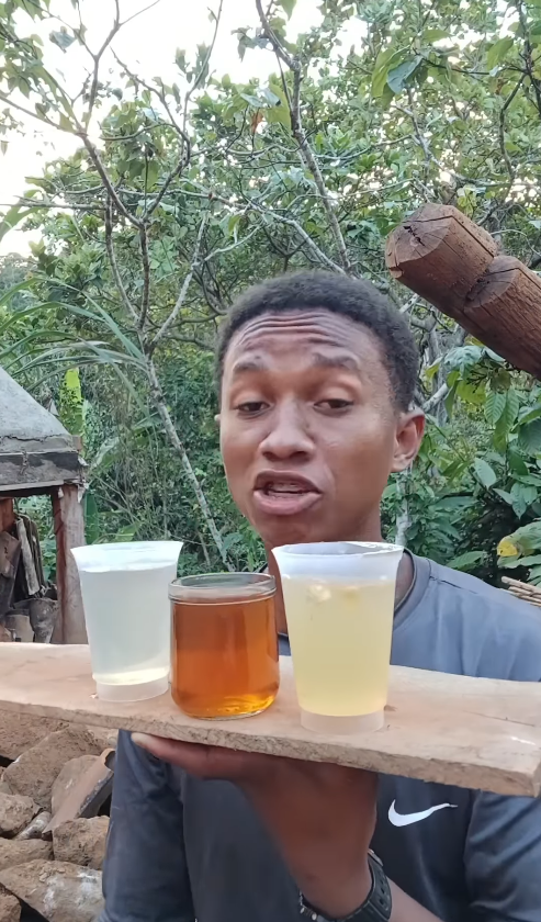 Diogo Ribeiro, ou Berê, ensina a fazer diversos alimentos e produtos com insumos do seu quintal por Reprodução / Instagram