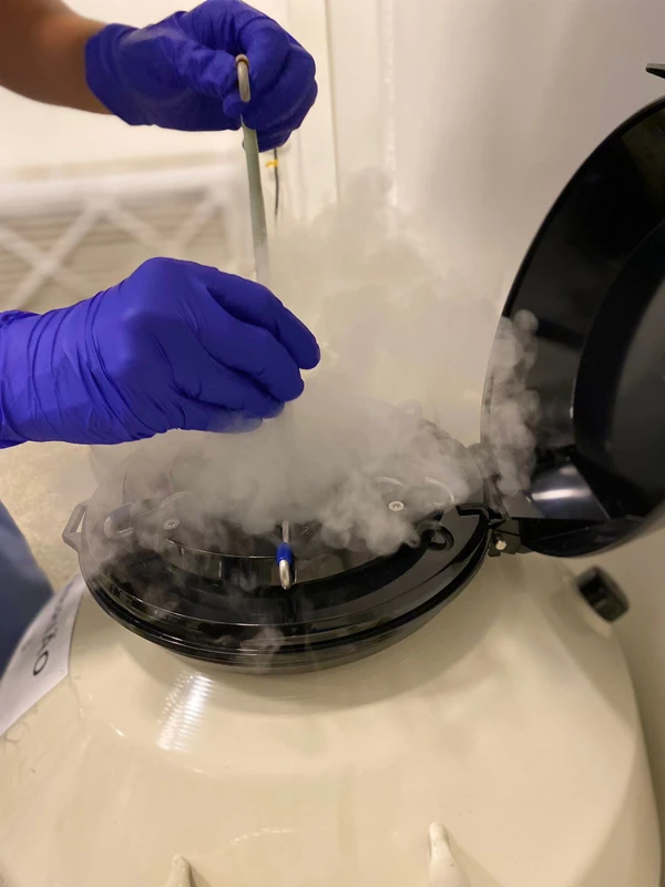 Medicina reprodutiva em foco