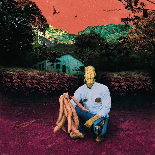 Rynnard -Exposição Vale das Embaúbas
