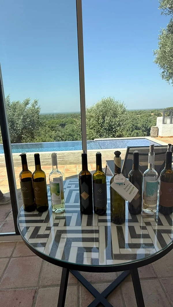 Vinhos dA Serenada por Fernanda Varela/CORREIO