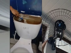 Imagem - Alunos denunciam cupim, mofo, teto caindo e banheiros quebrados em colégio estadual