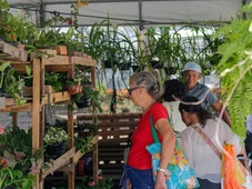 Imagem - Feira da Primavera leva mais de 400 artesãos ao Largo do Campo Grande