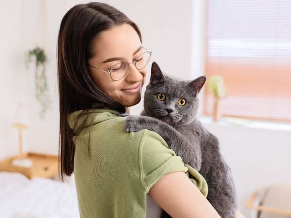 Imagem - 12 nomes criativos para colocar em gatos sociáveis