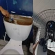 Imagem - Alunos denunciam cupim, mofo, teto caindo e banheiros quebrados em colégio estadual