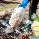 Imagem - Startup nordestina cria sistemas de coleta e reciclagem para Salvador e outras cidades
