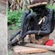 Imagem - 'Defumadas': múmias humanas mais antigas do mundo não vêm do Egito; descubra