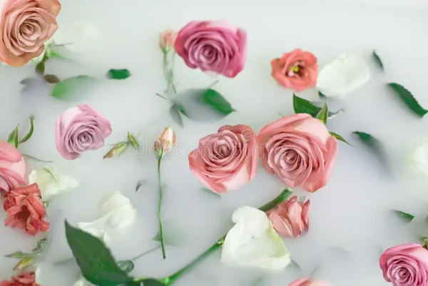 Banho de cheiro é preparado com calêndula, manjericão e rosas cor-de-rosa por Reprodução