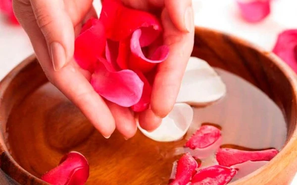 Banho de cheiro é preparado com calêndula, manjericão e rosas cor-de-rosa por Reprodução