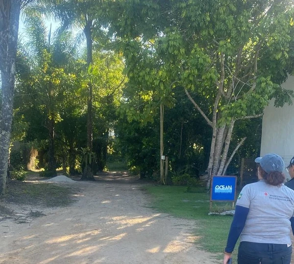 Demolições de barracas irregulares reacendem disputa entre preservação ambiental e expansão turística na Península de Maraú por MP-BA
