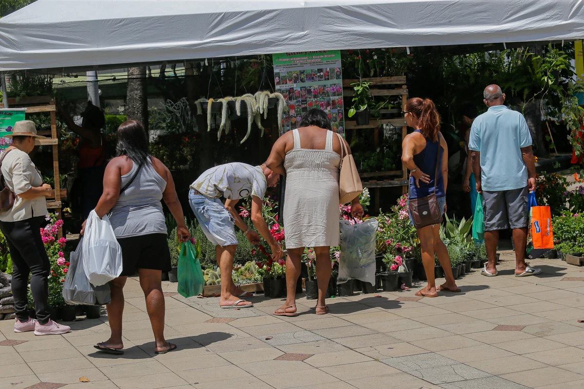 Feira das Artes da Primavera segue até o dia 28 por Arisson Marinho/CORREIO