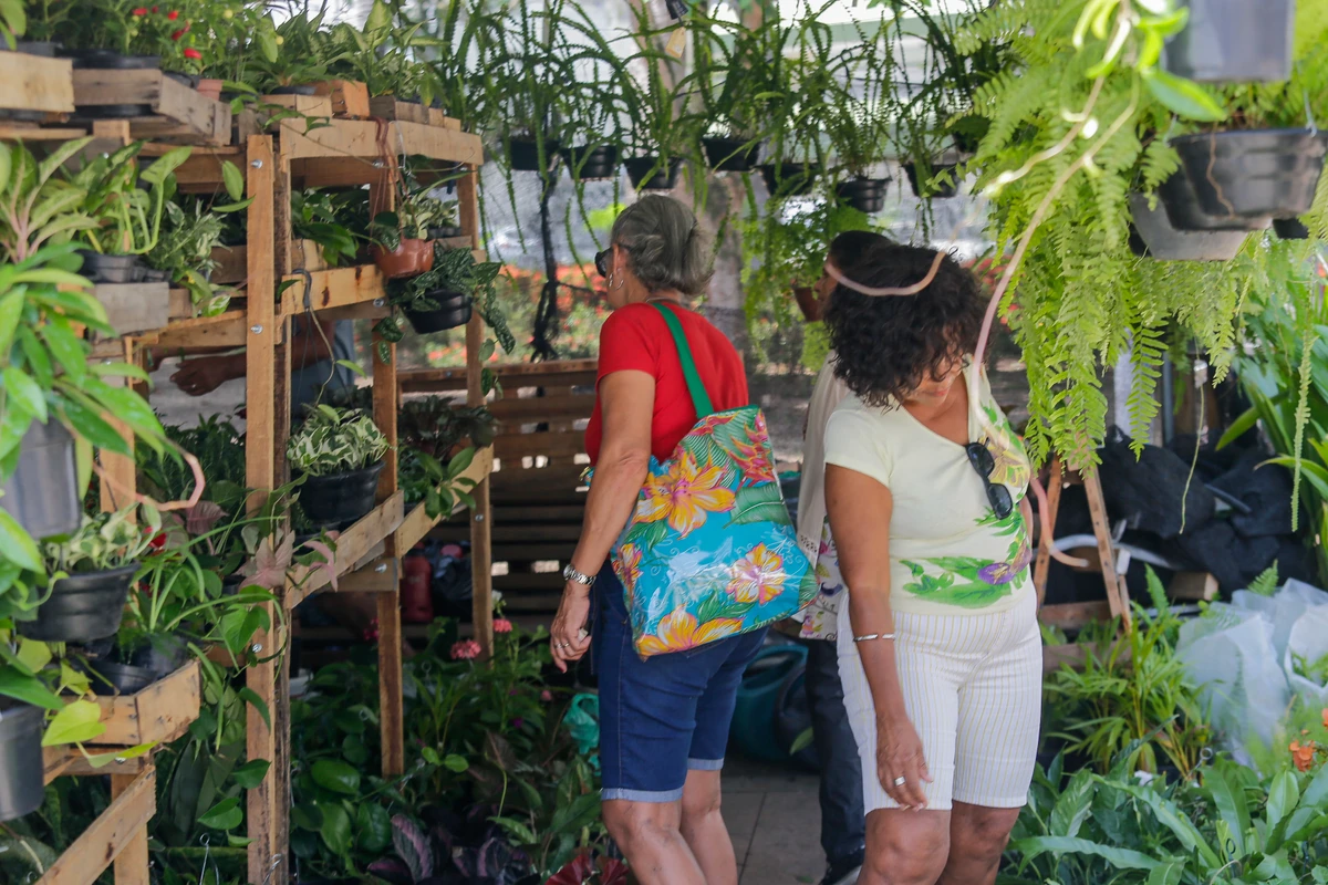 Feira das Artes da Primavera segue até o dia 28 no Largo do Campo Grande por Arisson Marinho/CORREIO