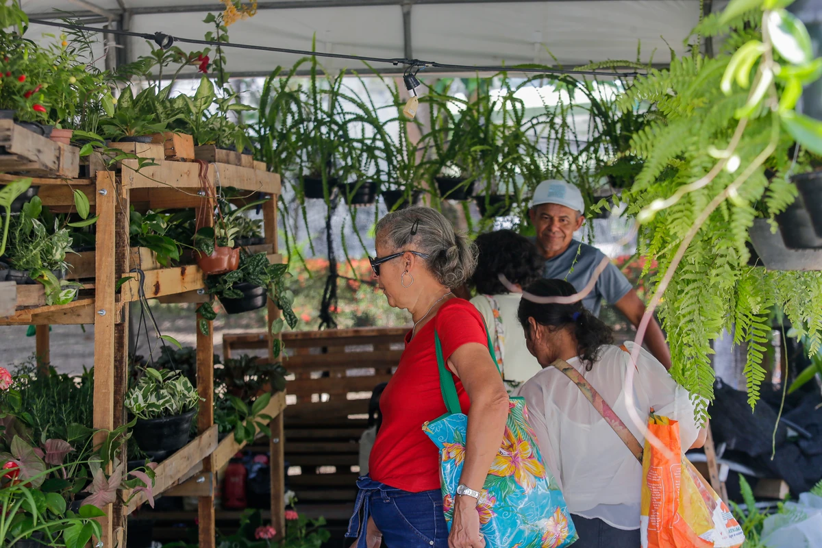 Feira das Artes da Primavera segue até o dia 28 no Largo do Campo Grande