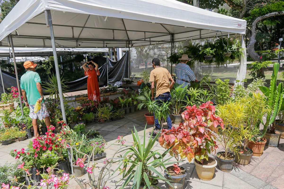 Feira das Artes da Primavera segue até o dia 28 no Largo do Campo Grande por Arisson Marinho/CORREIO