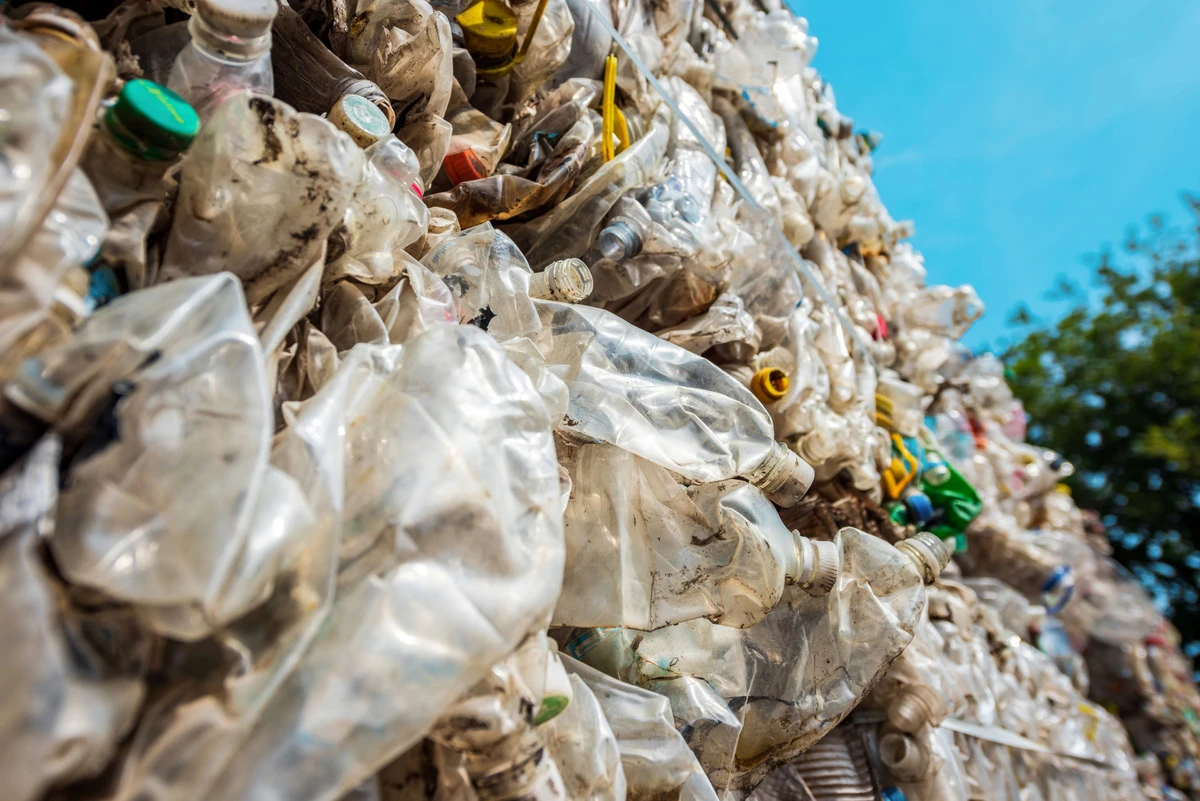 Reciclagem por Divulgação