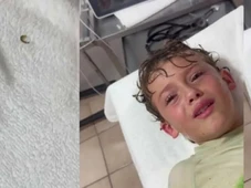 Imagem - Vídeo: Filho de influenciadora tem caranguejo vivo retirado de ouvido após passeio na praia