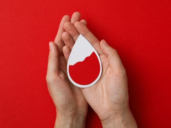 Imagem - 6 dicas para se tornar um doador de medula óssea