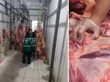 Imagem - Cem quilos de carnes infectadas são apreendidos em cidade baiana