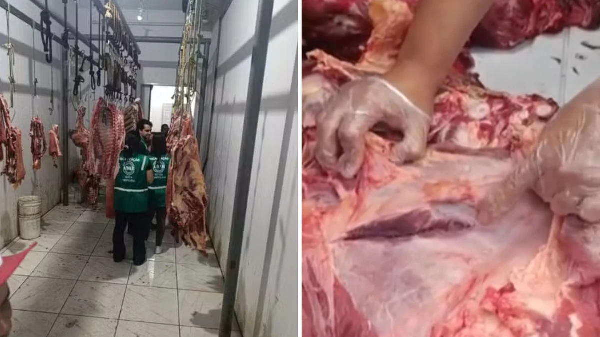 Carne é apreendida em município do sul da Bahia