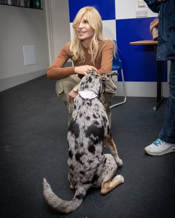 Donatella Versace visita abrigo de animais por Reprodução/Instagram