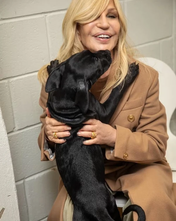 Donatella Versace visita abrigo de animais por Reprodução/Instagram