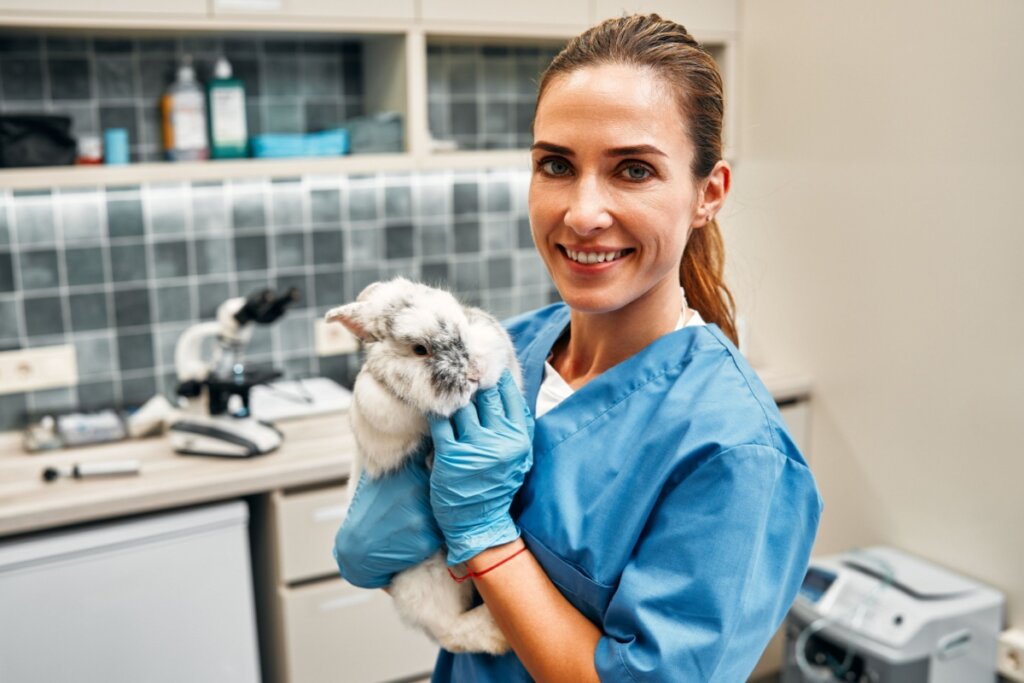 O coelho deve passar por consultas regulares com um médico-veterinário especializado em animais exóticos (Imagem: ORION PRODUCTION | Shutterstock)