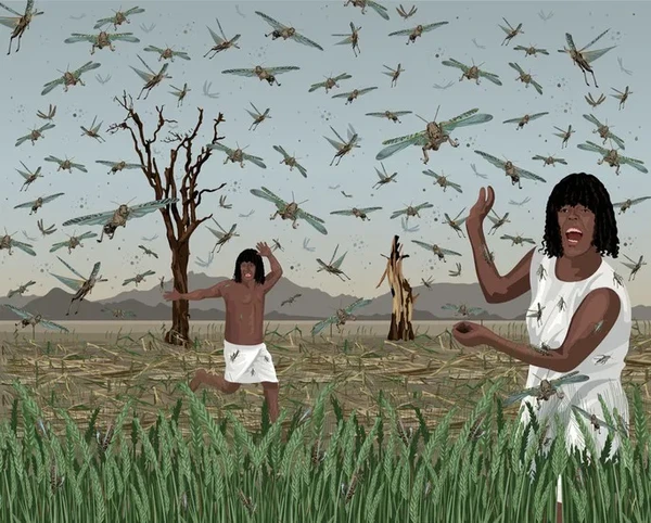 Infestação de gafanhotos por Reprodução