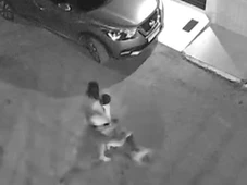 Imagem - Criança autista é atacada por pitbull na Bahia