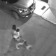 Imagem - Criança autista é atacada por pitbull na Bahia