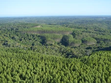 Imagem - Empresas conciliam desenvolvimento econômico, ambiental e social em Camaçari