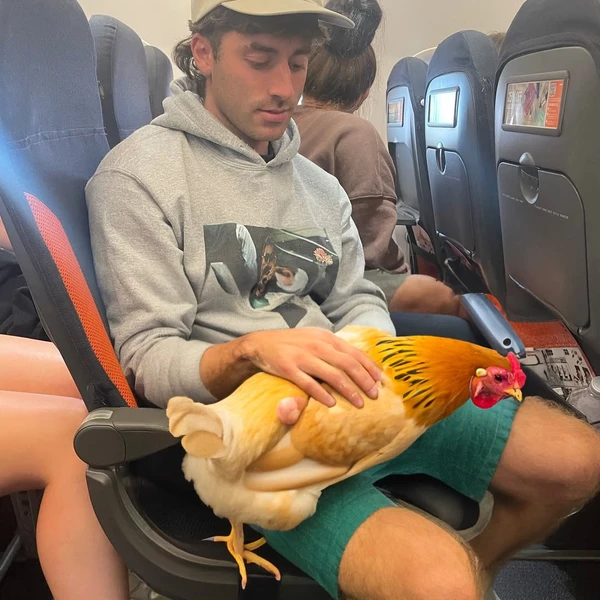 Carmie Sellitto por Reprodução/Instagram