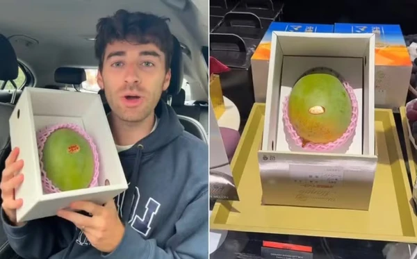 Carmie Sellitto e sua manga de R$ 1.100