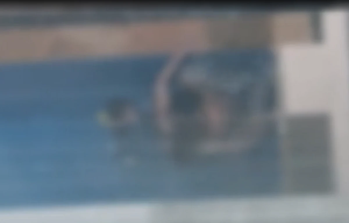 Casal foi flagrado fazendo sexo em piscina com criança por Reprodução