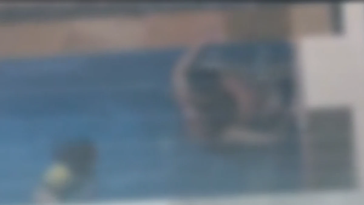 Casal foi flagrado fazendo sexo em piscina com criança por Reprodução