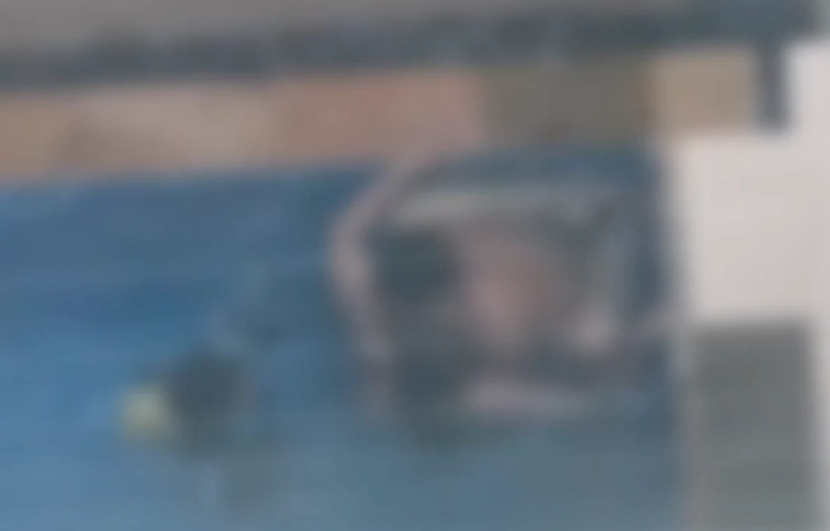 Casal foi flagrado fazendo sexo em piscina com criança por Reprodução